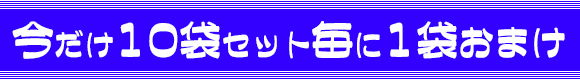 今だけプレゼント!